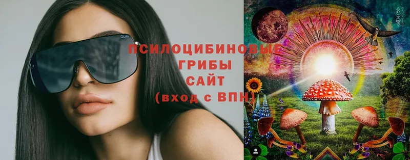 Псилоцибиновые грибы Psilocybe  Моздок 